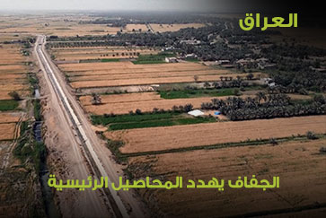 العراق.. الجفاف العراقي يهدد أهم محاصيل البلاد