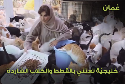 سلطنة عمان .. سيدة عمانية سخّرت وقتها ومالها لرعاية القطط والكلاب