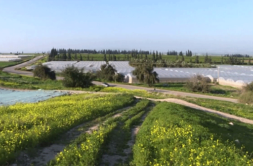 أهالي غور الأردن يتخوفون من ضم أرضهم إلى الكيان الإسرائيلي