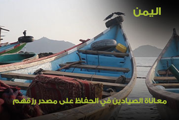 اليمن.. معاناة الصيادين في المناطق المحررة 